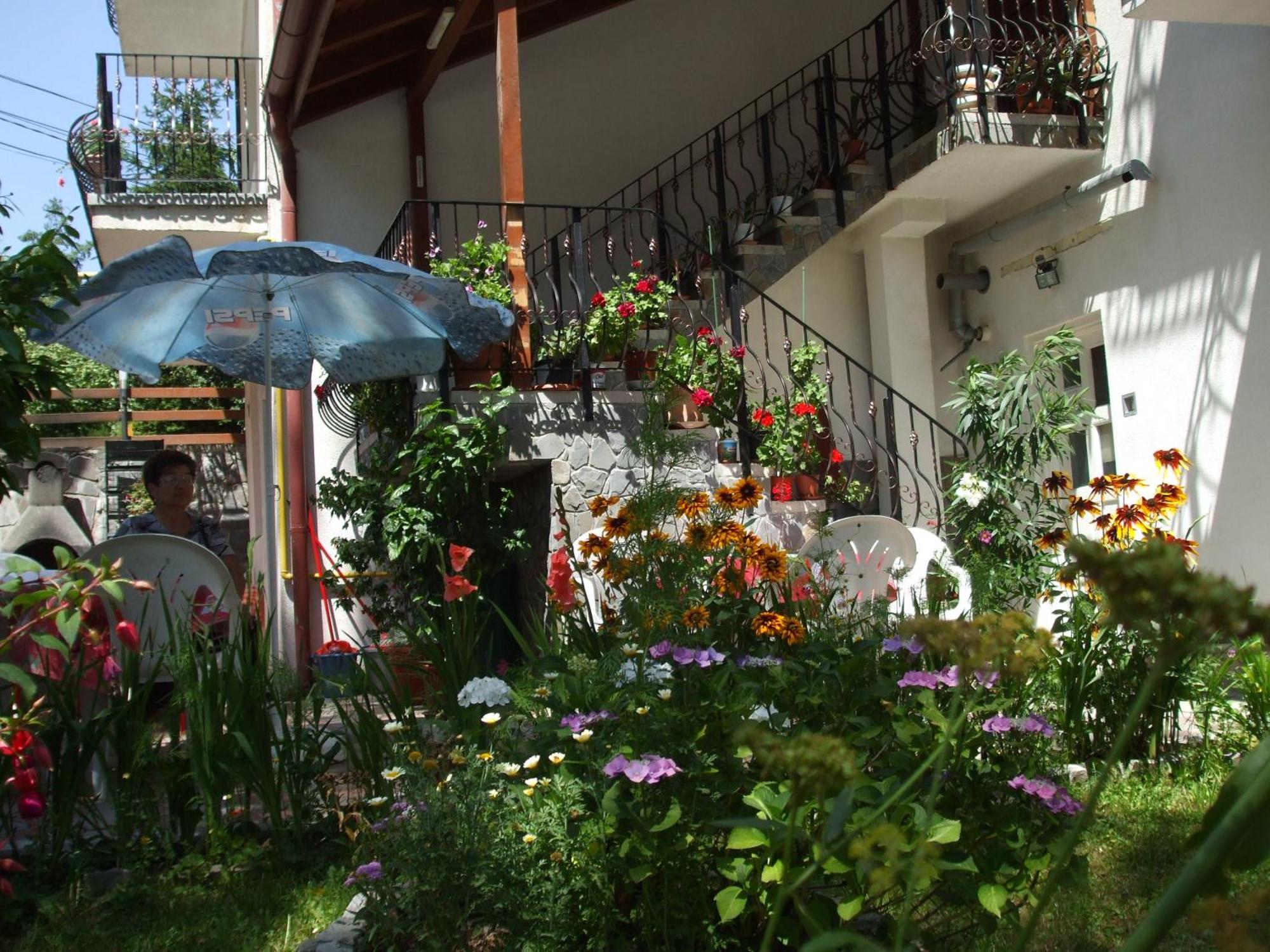 Vila Ana-Maria Sinaia Exterior foto